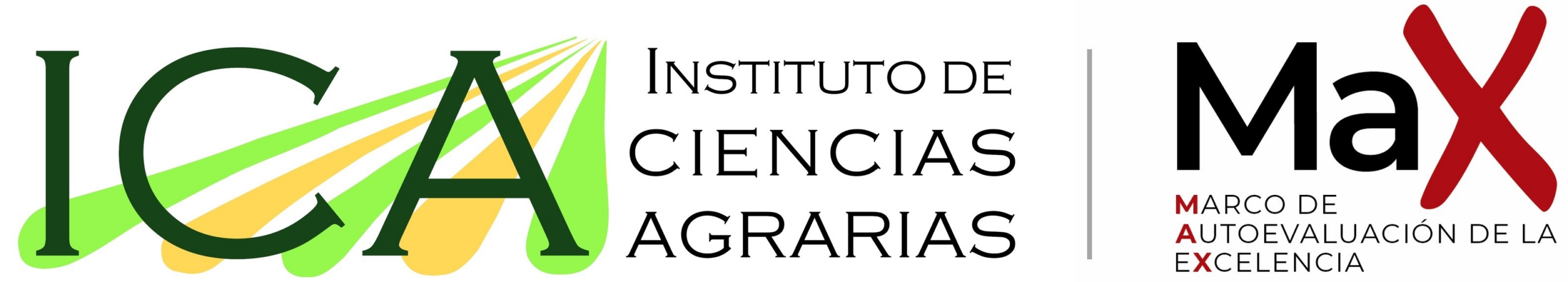 Organizador 4